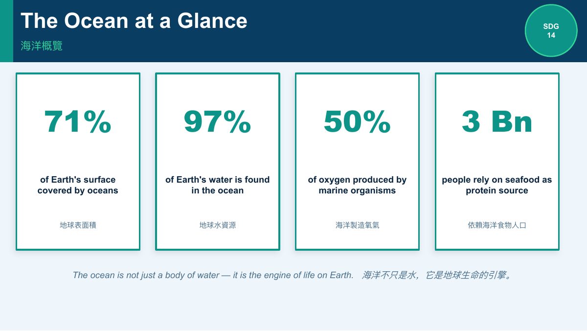 SDG 14 保育海洋生態（中學雙語版） — slide 2