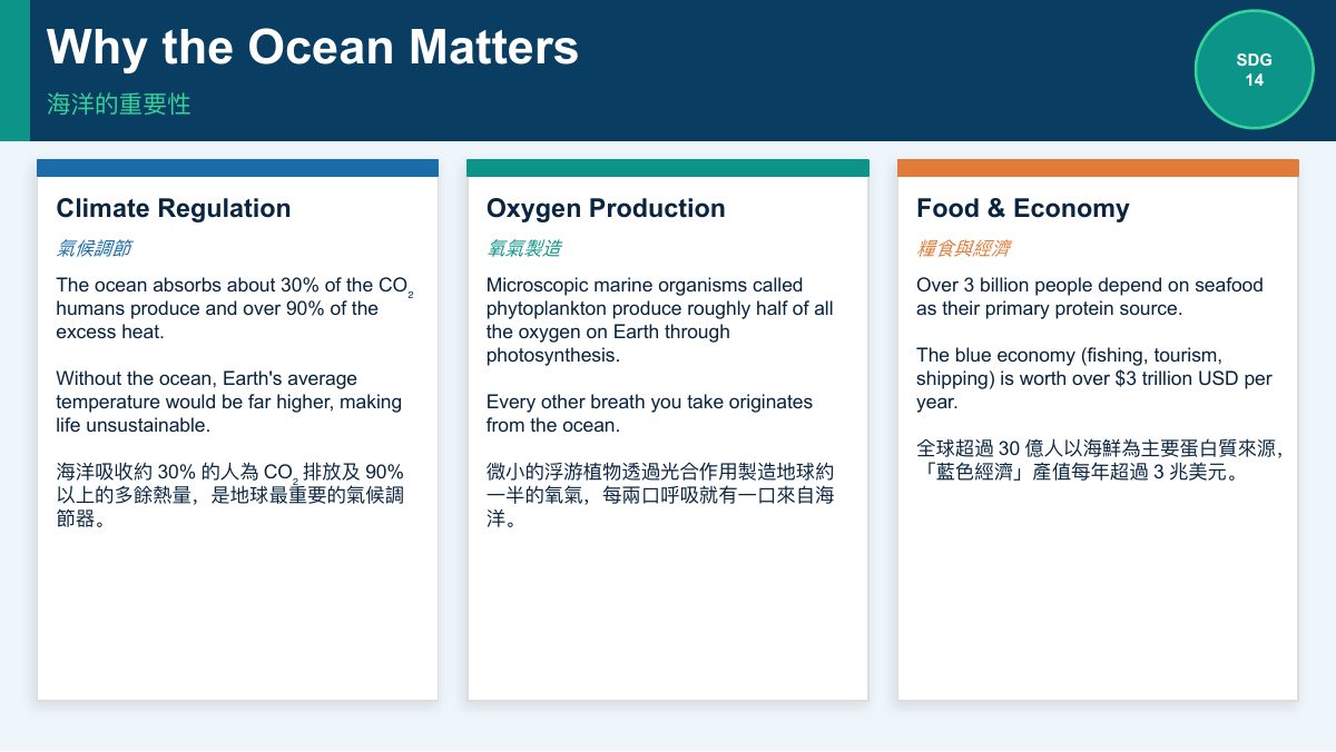 SDG 14 保育海洋生態（中學雙語版） — slide 3