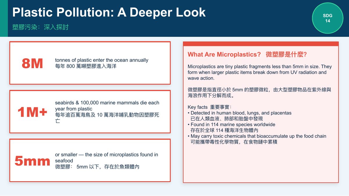 SDG 14 保育海洋生態（中學雙語版） — slide 5