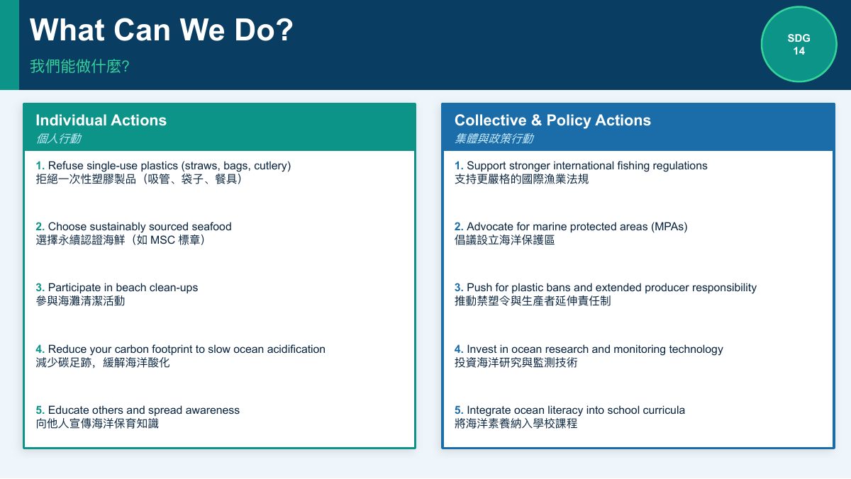 SDG 14 保育海洋生態（中學雙語版） — slide 9