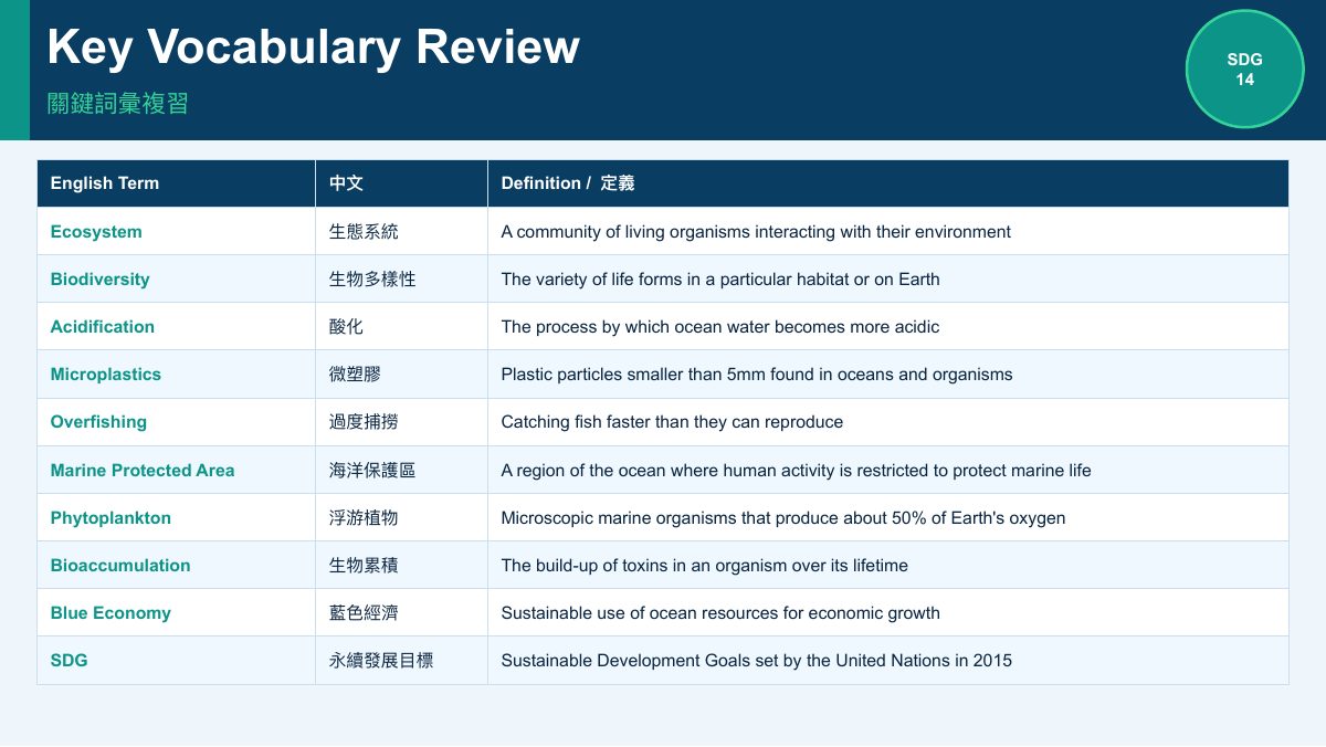 SDG 14 保育海洋生態（中學雙語版） — slide 10