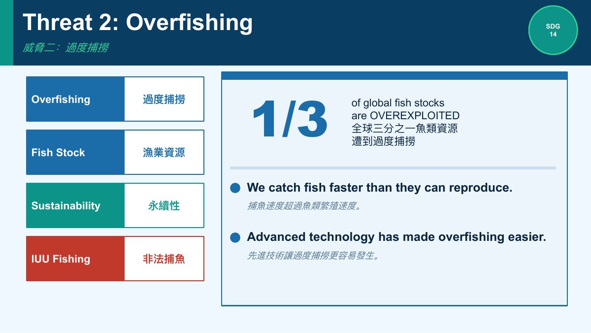 SDG 14 保育海洋生態（簡化版） — slide 5