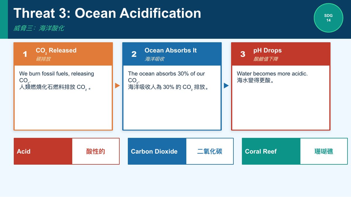 SDG 14 保育海洋生態（簡化版） — slide 6