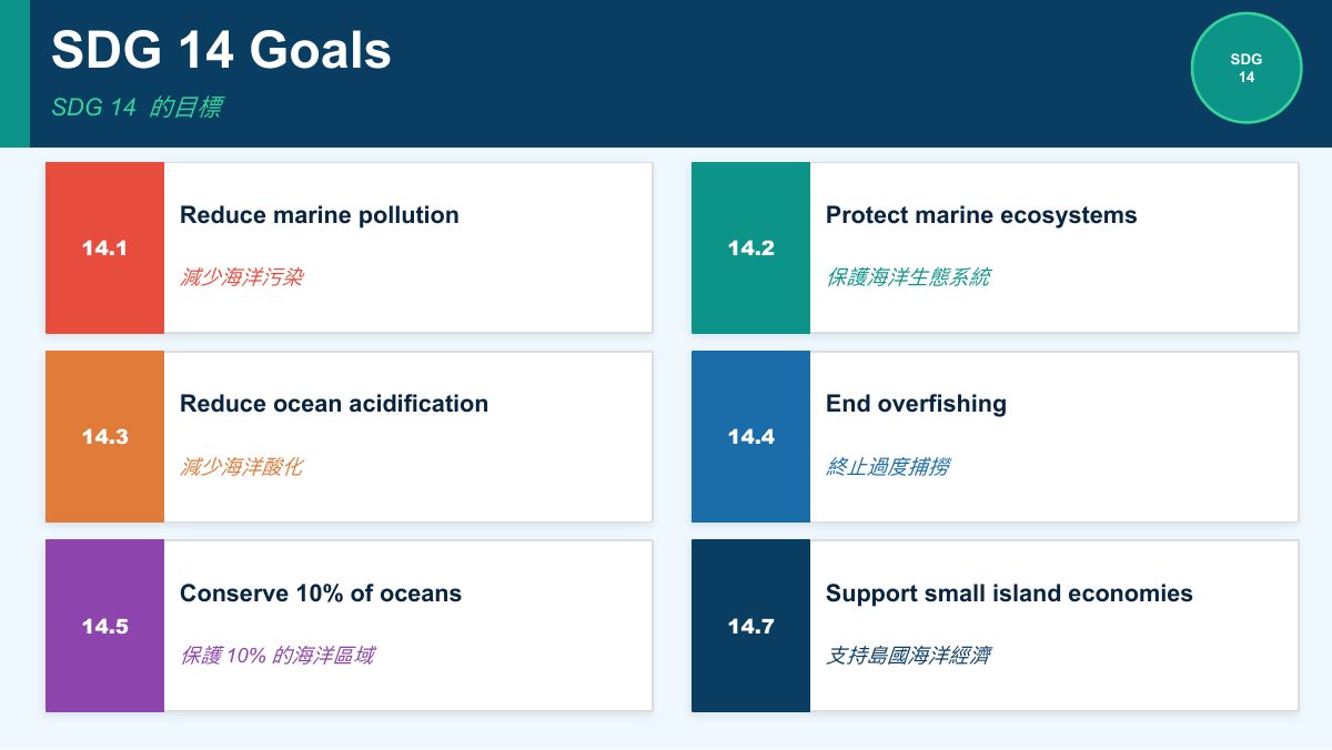 SDG 14 保育海洋生態（簡化版） — slide 7
