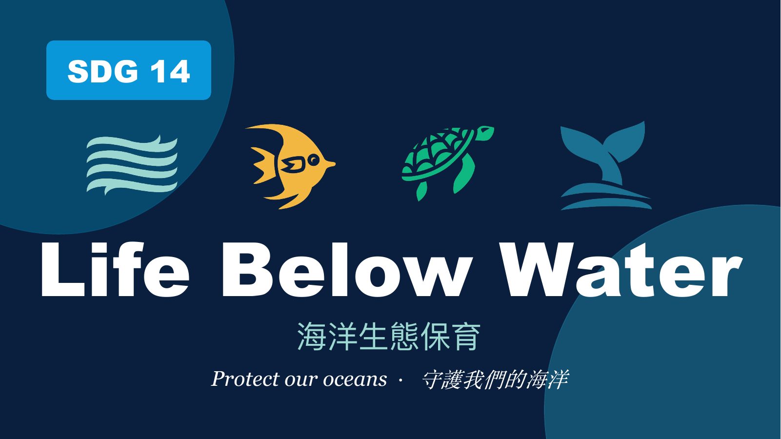 SDG 14 保育海洋生態